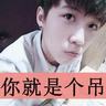宠物安全知识 课件免费
